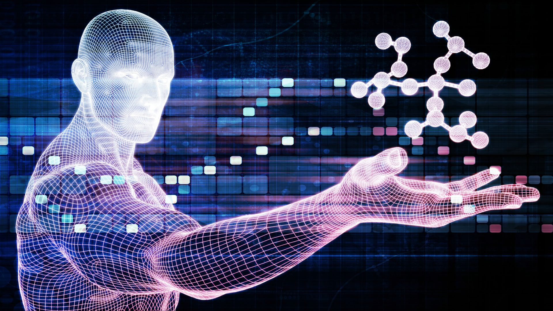 Unlock the Power of Website Application Development for a Highly Successful Business!